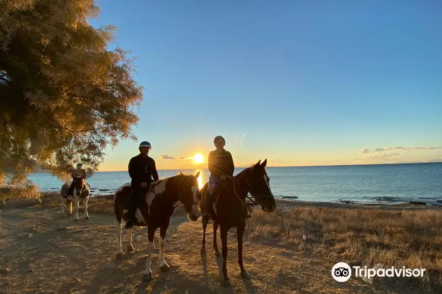 Kardamena Horse Riding Center