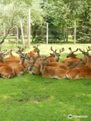 Wisconsin Deer Park