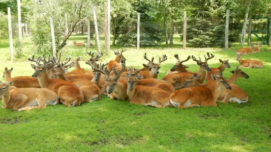 Wisconsin Deer Park