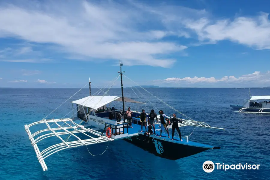 Bohol Divers Club Dive Center