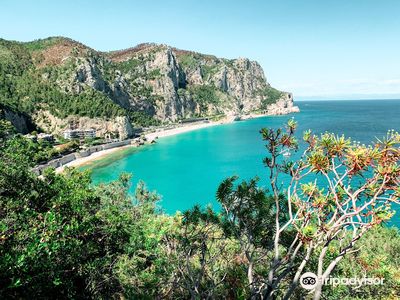 Saraceni Bay