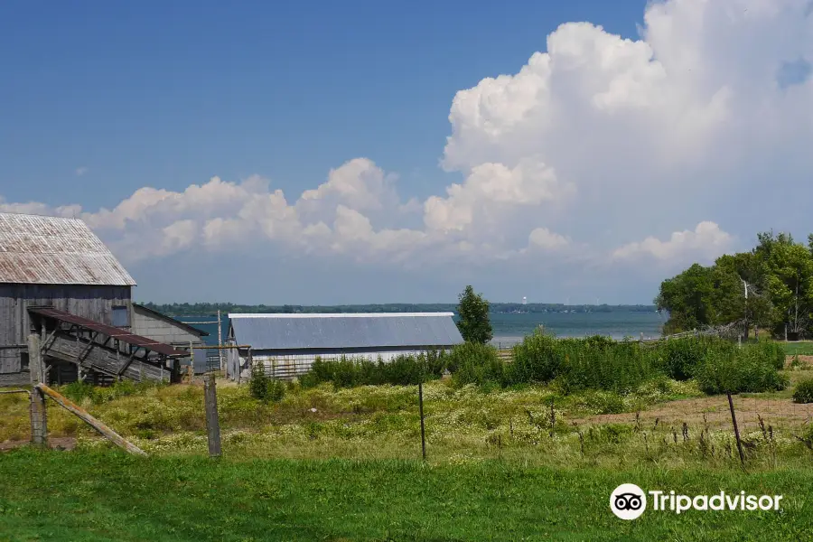 Topsy Farms