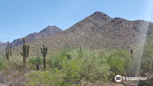 McDowell Sonoran Preserve