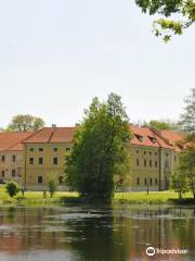 The team Cistercian monastery and palace complex in Rudy