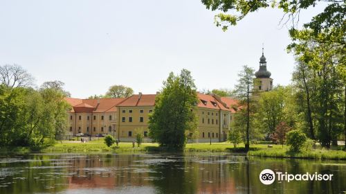 The team Cistercian monastery and palace complex in Rudy