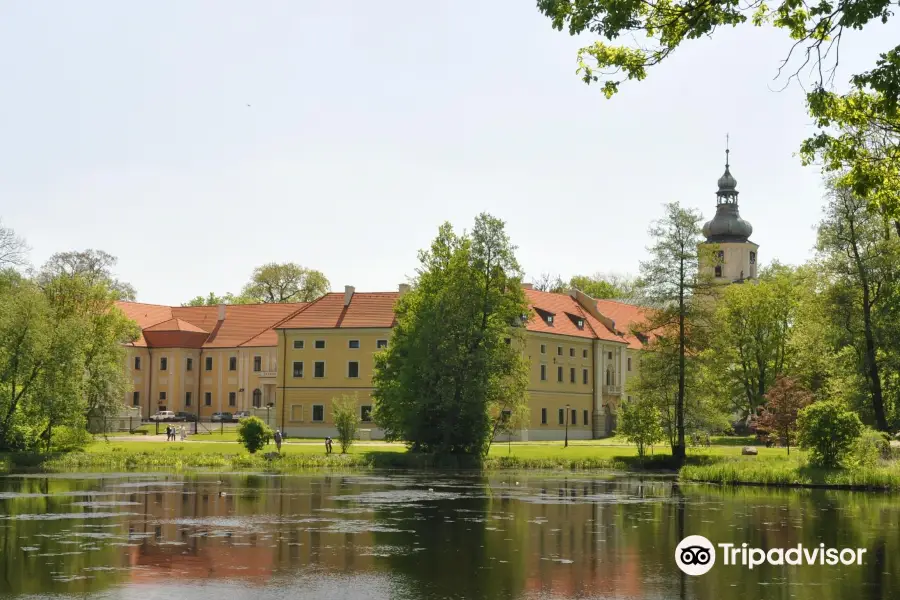 The team Cistercian monastery and palace complex in Rudy