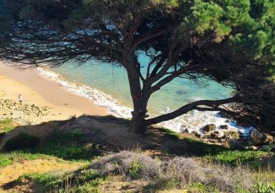 Praia dos Olhos de água