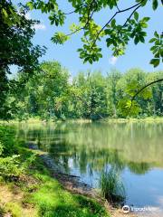 Ragged Mountain Natural Area