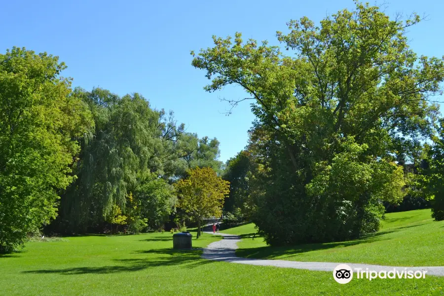 Toogood Pond Park