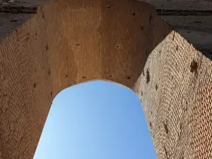 Arg-e Alishah