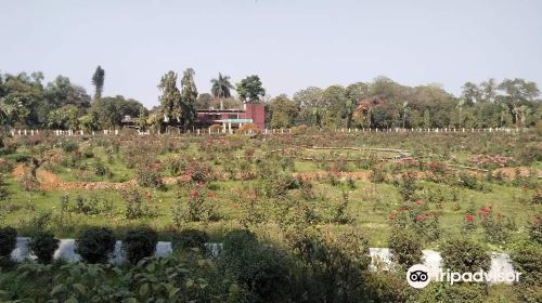 National Botanical Garden, Mirpur, Dhaka