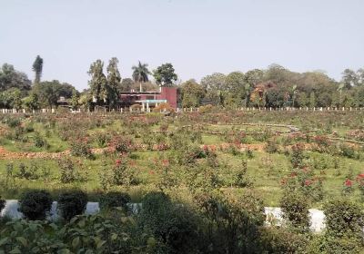National Botanical Garden, Mirpur, Dhaka