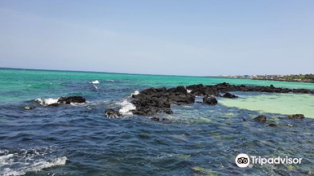 Jeju-Säulenformationen + Gwakji-Strand + Aewol-Küstenstraße + Tagesausflug zum Cheonjiyeon-Wasserfall