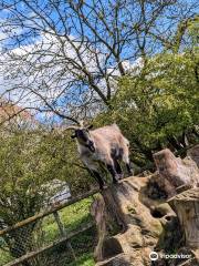 Waterfowl Sanctuary & Childrens Farm