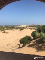 Be In Naturetours Essaouira