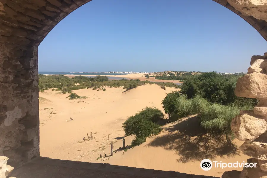 Be In Naturetours Essaouira