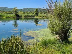 Lago di Posta Fibreno