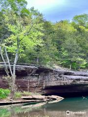 Withrow Springs State Park