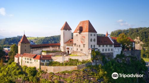 Burgdorf Castle