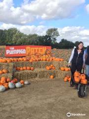 Foxes Farm Produce - The Pumpkin Patch - Basildon - Essex