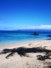 Giant Clams Sanctuary & White Beach