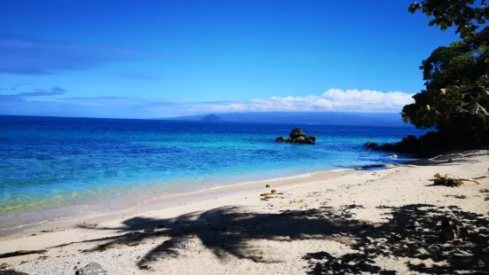 Giant Clams Sanctuary & White Beach