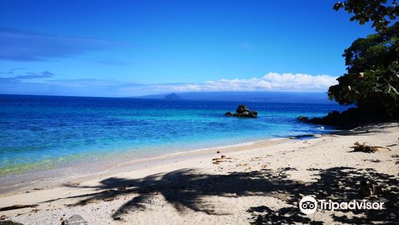 Giant Clams Sanctuary & White Beach