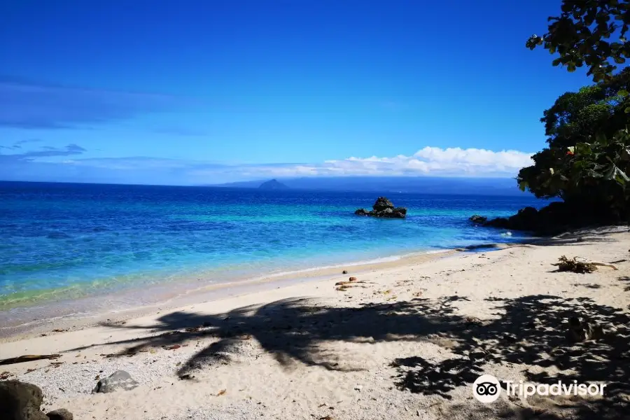 Giant Clams Sanctuary & White Beach