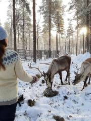 Angeli Reindeer Farm