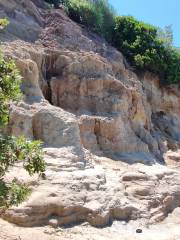 Riserva Naturale di Tor Caldara