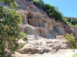 Riserva Naturale di Tor Caldara