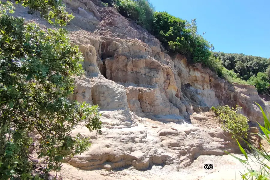 Riserva Naturale di Tor Caldara