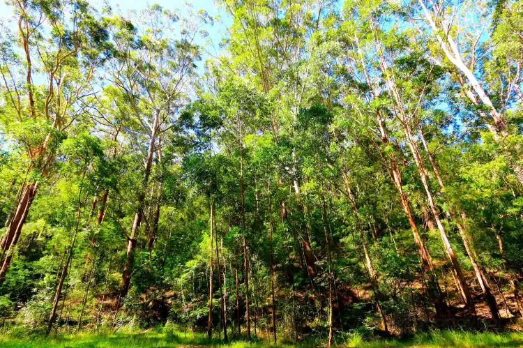 Hotels in Cooranbong