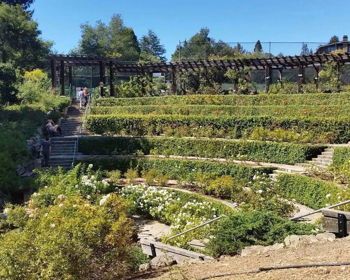 Hotels near Berkeley Rose Garden