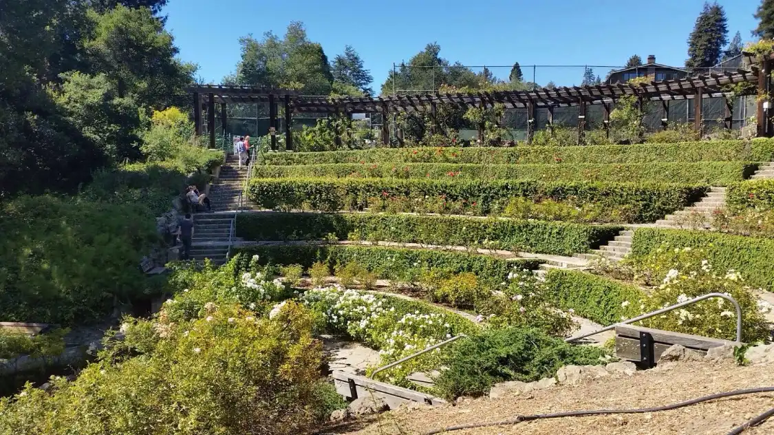 Hotels near Berkeley Rose Garden