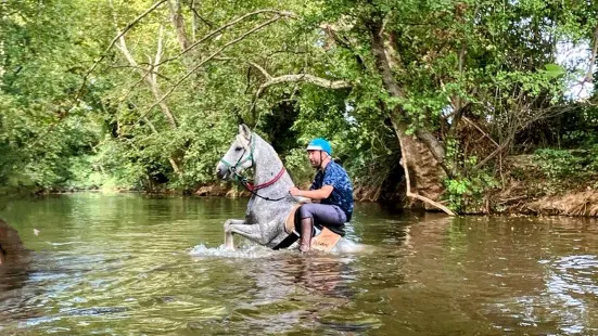 Aventure cheval. Randonnées à cheval