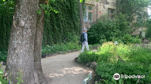 Botanical Garden of the University of Tartu