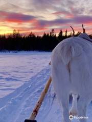 Ounaskievari Reindeer Farm