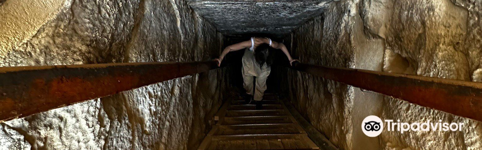 Al BadrashinTour giornalieri