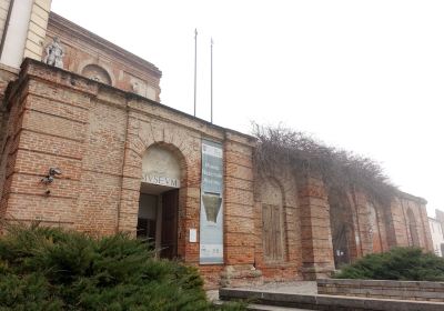 Museo Atestino