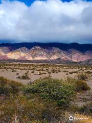 Nationalpark Los Cardones