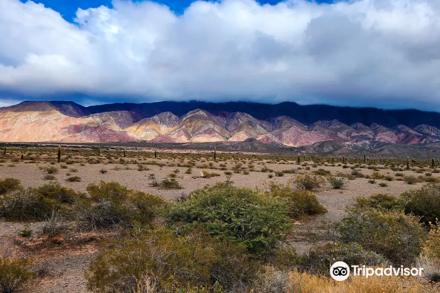 los Cardones National Park