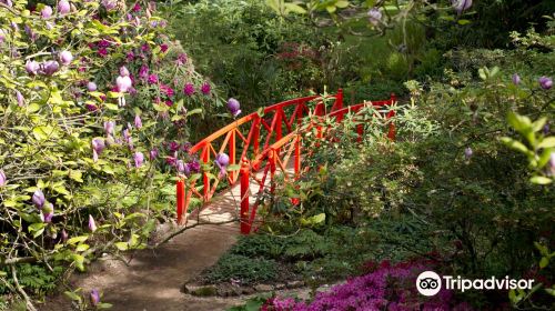 Abbotsbury Subtropical Gardens