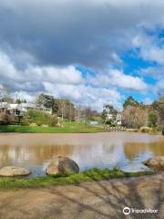 Wombat Flat Mineral Spring