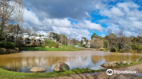 Wombat Flat Mineral Spring