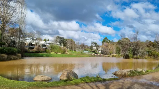 Wombat Flat Mineral Spring