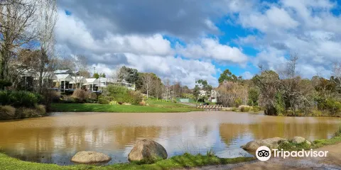 Wombat Flat Mineral Spring