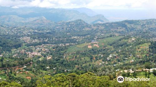 Usambara Mountains