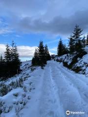 Mount Hoverla