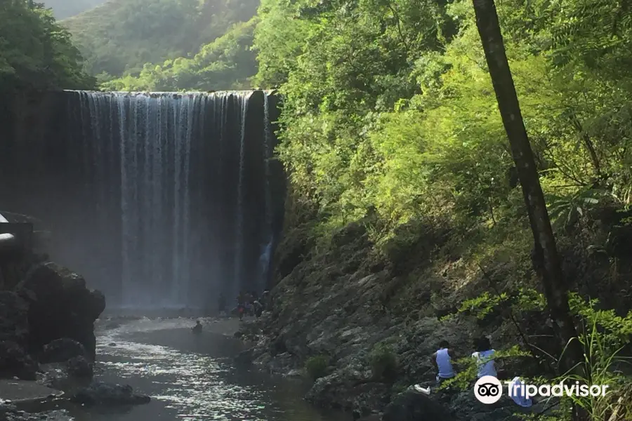 Reggae Falls